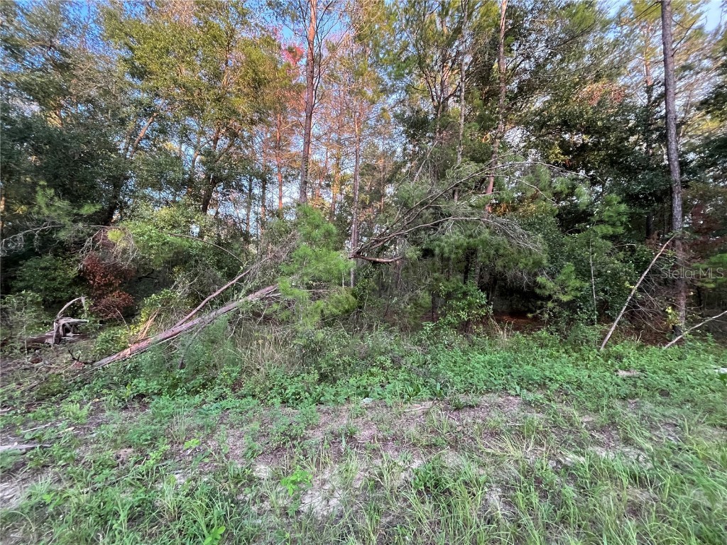 TBD Twin Lakes Road Interlachen FL 32148 OK225310 image2