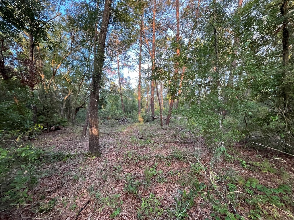 TBD Twin Lakes Road Interlachen FL 32148 OK225310 image3