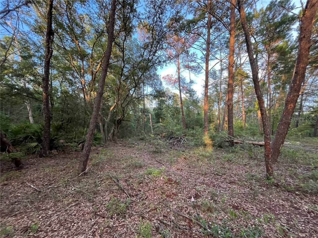 TBD Twin Lakes Road Interlachen FL 32148 OK225310 image5