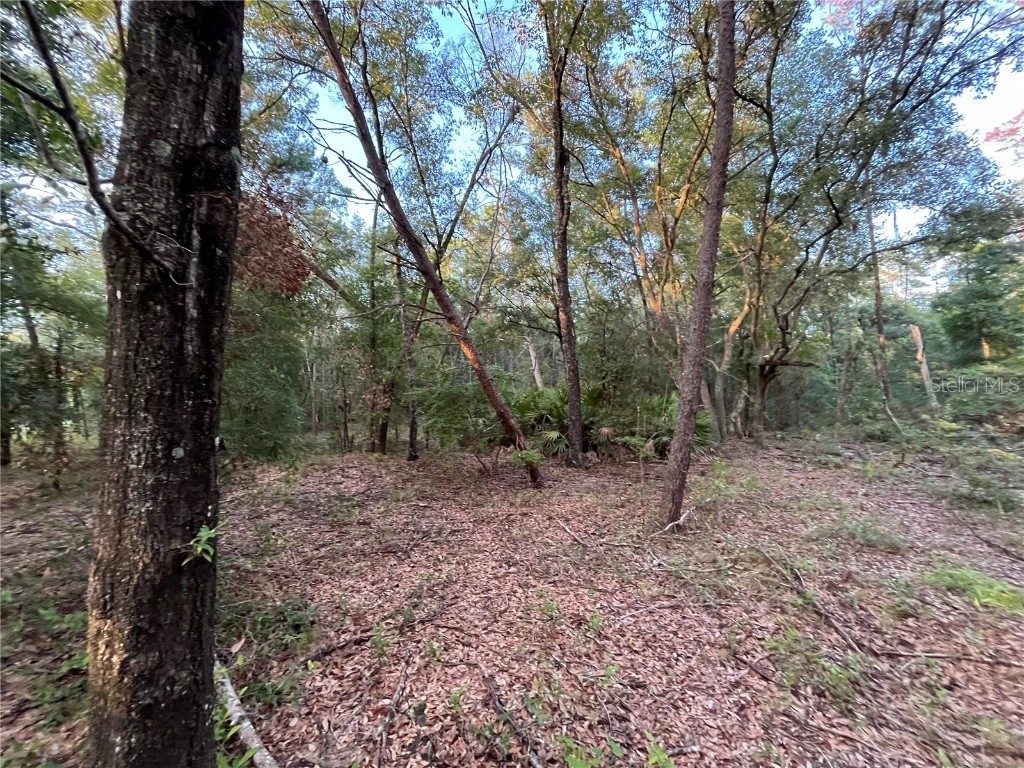 TBD Twin Lakes Road Interlachen FL 32148 OK225310 image6