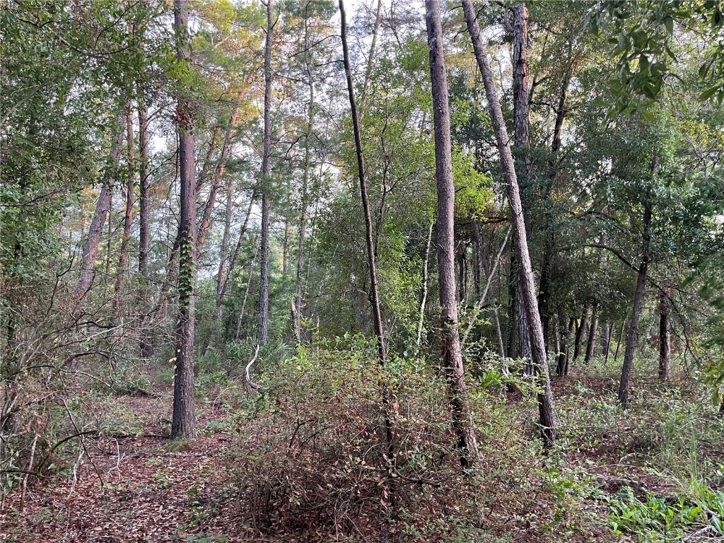 TBD Twin Lakes Road Interlachen FL 32148 OK225310 image8