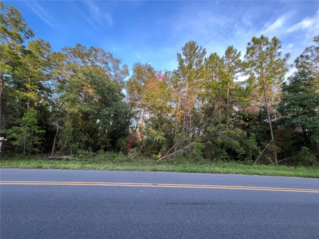 TBD Twin Lakes Road Interlachen FL 32148 OK225310 image9