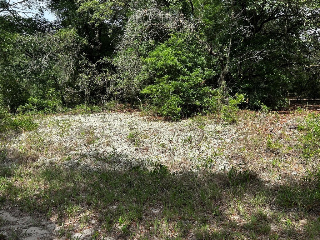 TBD Uplands Avenue Dunnellon FL 34431 OM701417 image2