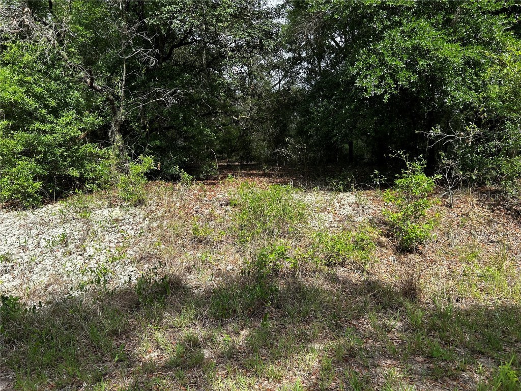 TBD Uplands Avenue Dunnellon FL 34431 OM701417 image3