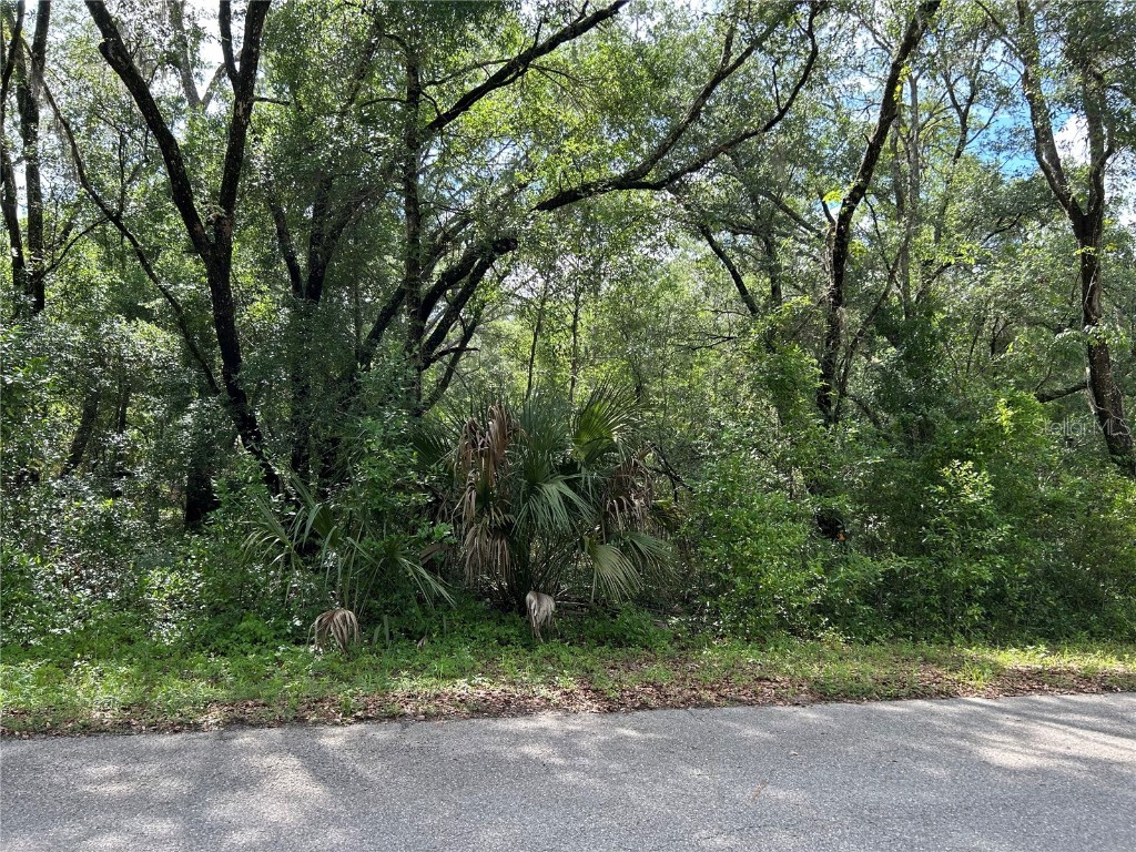 TBD Uplands Avenue Dunnellon FL 34431 OM701417 image4