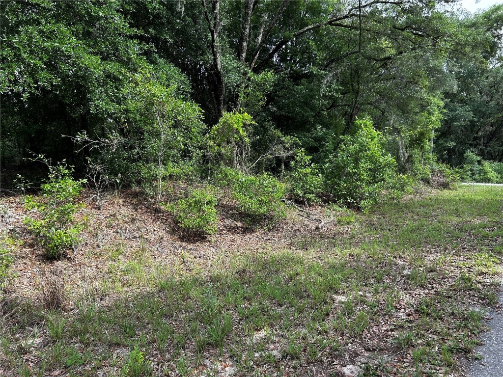 TBD Uplands Avenue Dunnellon FL 34431 OM701417 image5