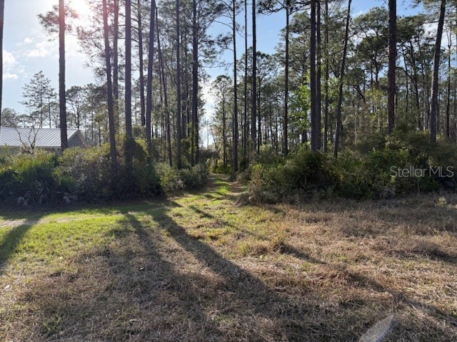 TBD Us 19 Inglis FL 34449 TB8485465 image5