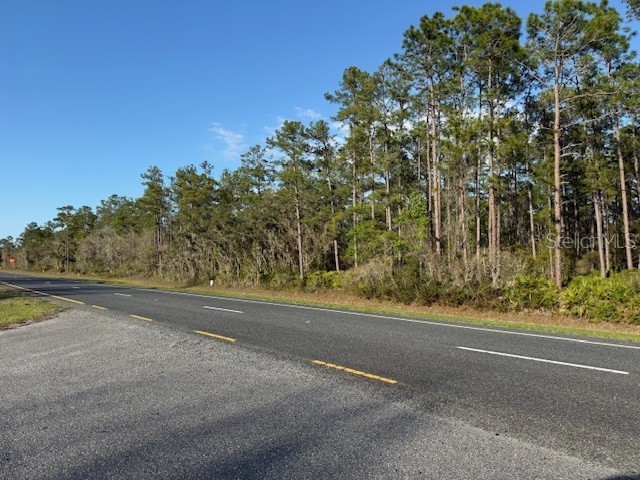 TBD Us 19 Inglis FL 34449 TB8485465 image6