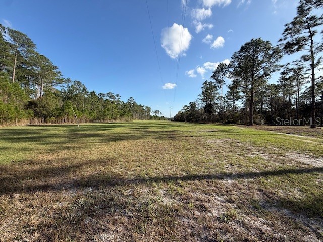 TBD Us 19 Inglis FL 34449 TB8485465 image8