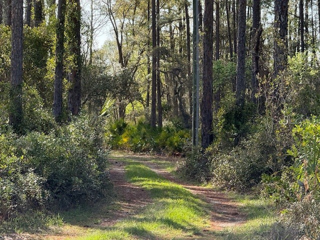 TBD Us 19 Inglis FL 34449 TB8487656 image3