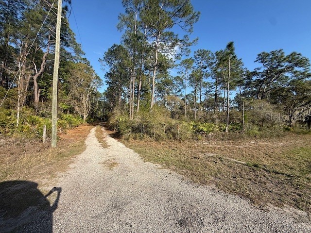 TBD Us 19 Inglis FL 34449 TB8487656 image5