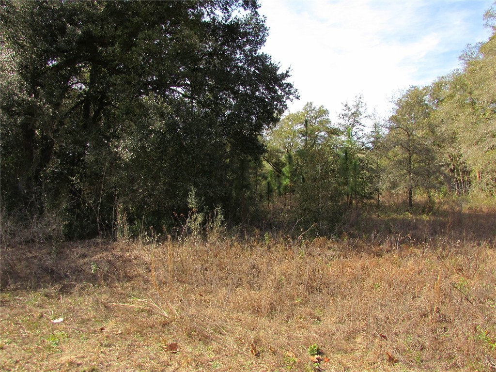 TBD Us Hwy 41 Dunnellon FL 34431 OM651948 image1