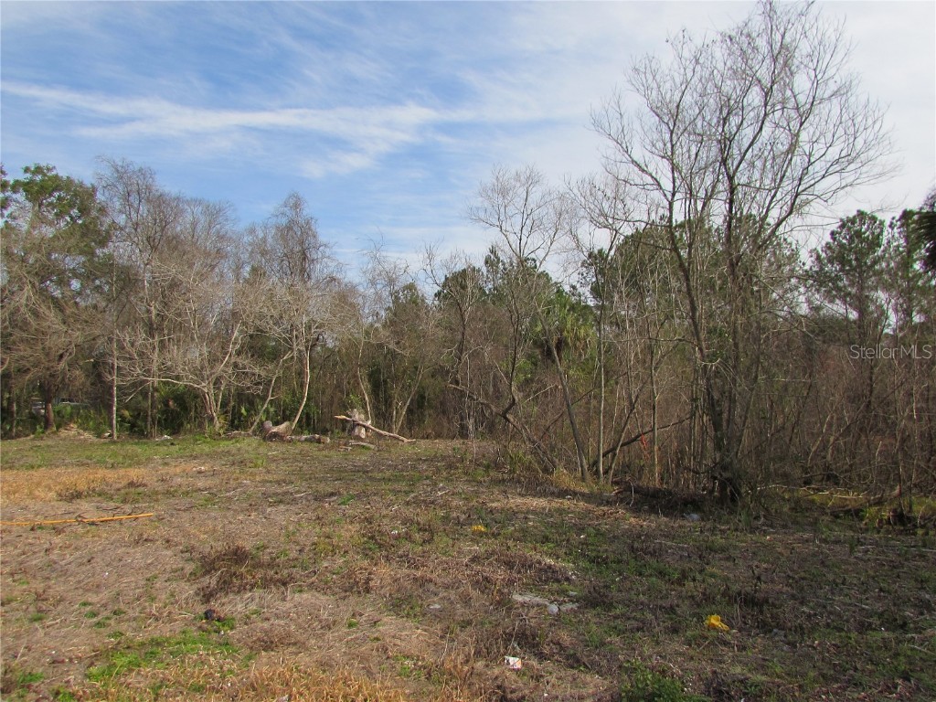 TBD Us Hwy 41 Dunnellon FL 34432 OM703849 image12