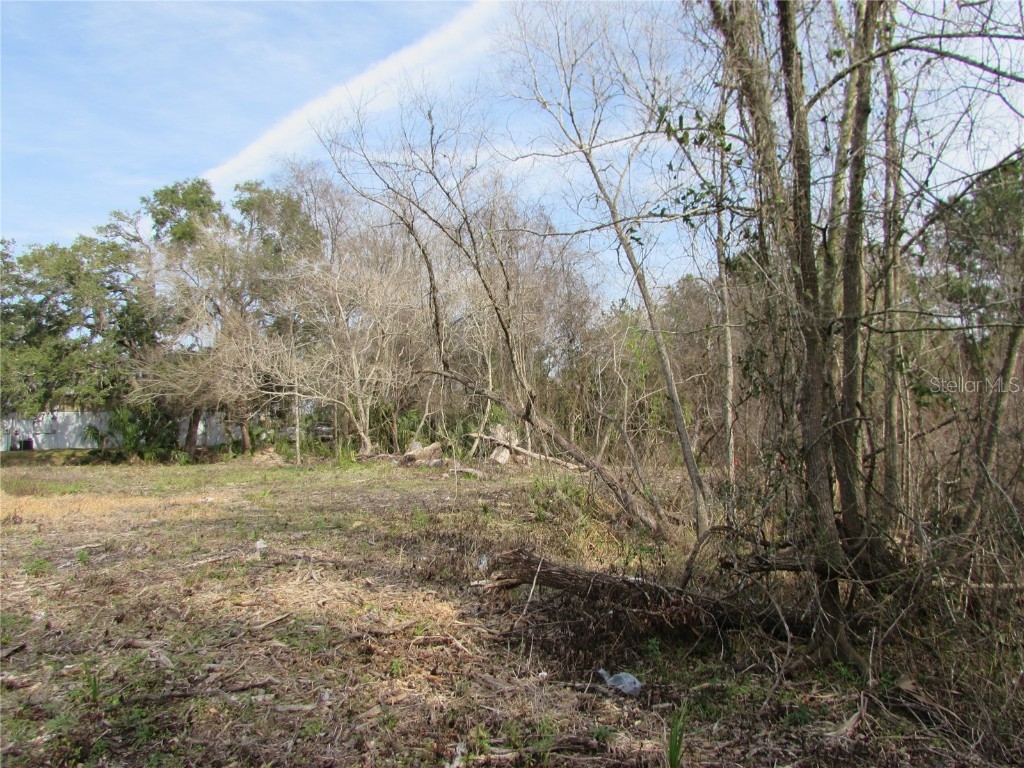 TBD Us Hwy 41 Dunnellon FL 34432 OM703849 image13