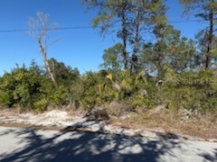 TBD Valimar New Port Richey FL 34654 O6372296 image1