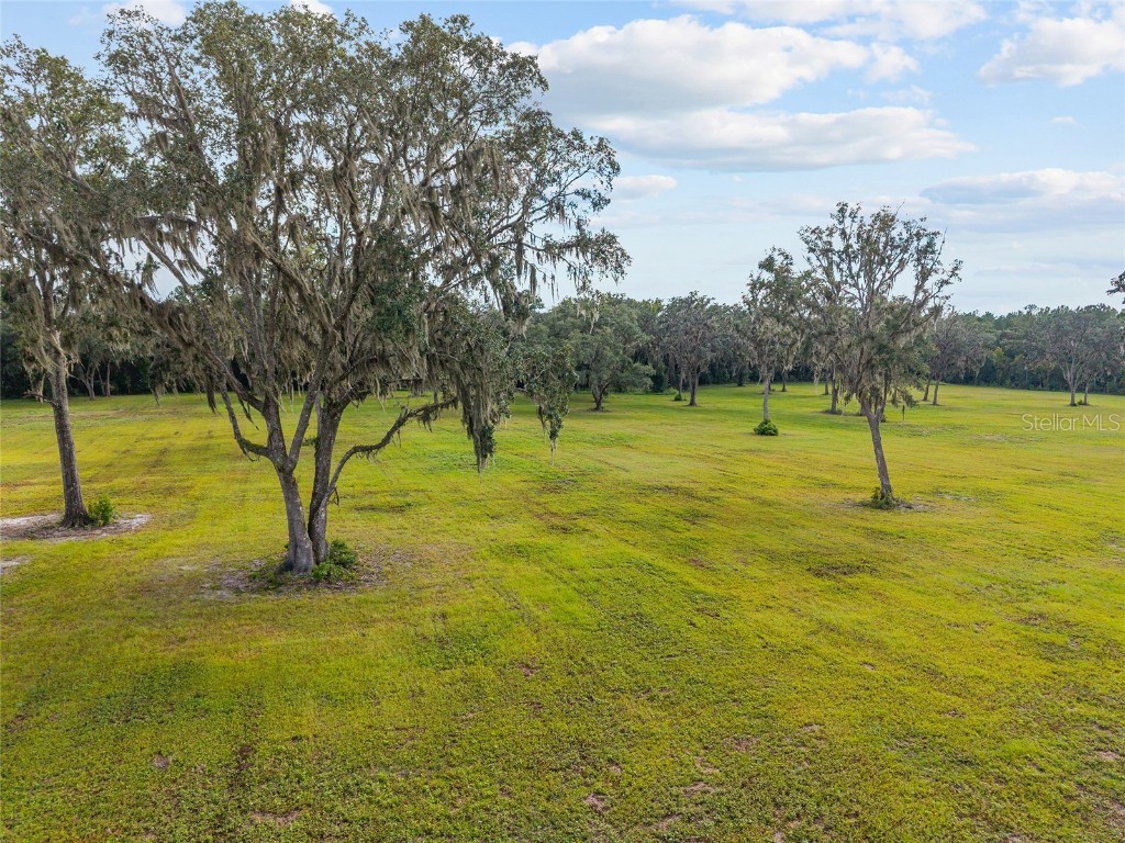 TBD W 316 Highway Reddick FL 32686 OM648080 image12