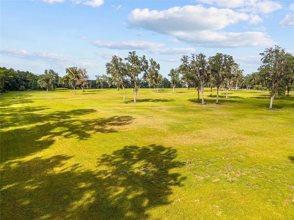 TBD W 316 Highway Reddick FL 32686 OM648080 image19