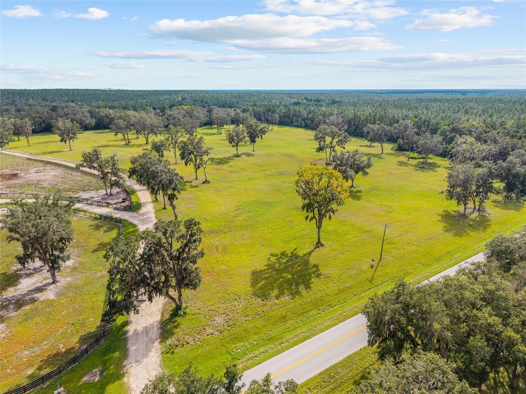 TBD W 316 Highway Reddick FL 32686 OM648080 image3