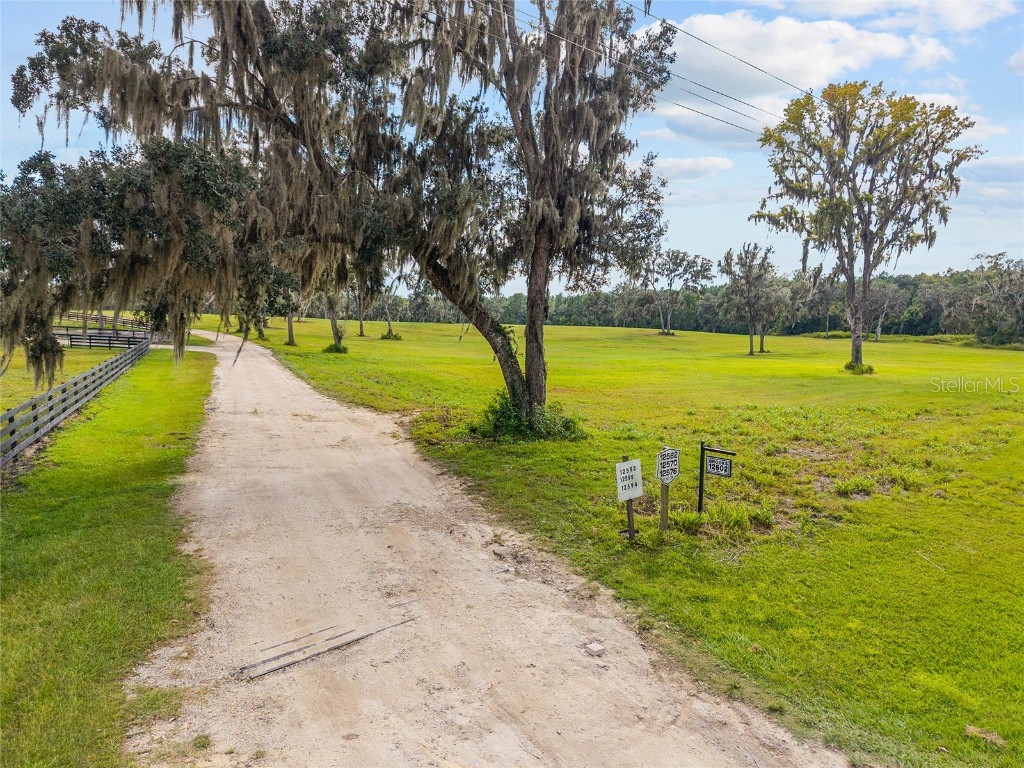 TBD W 316 Highway Reddick FL 32686 OM648080 image4