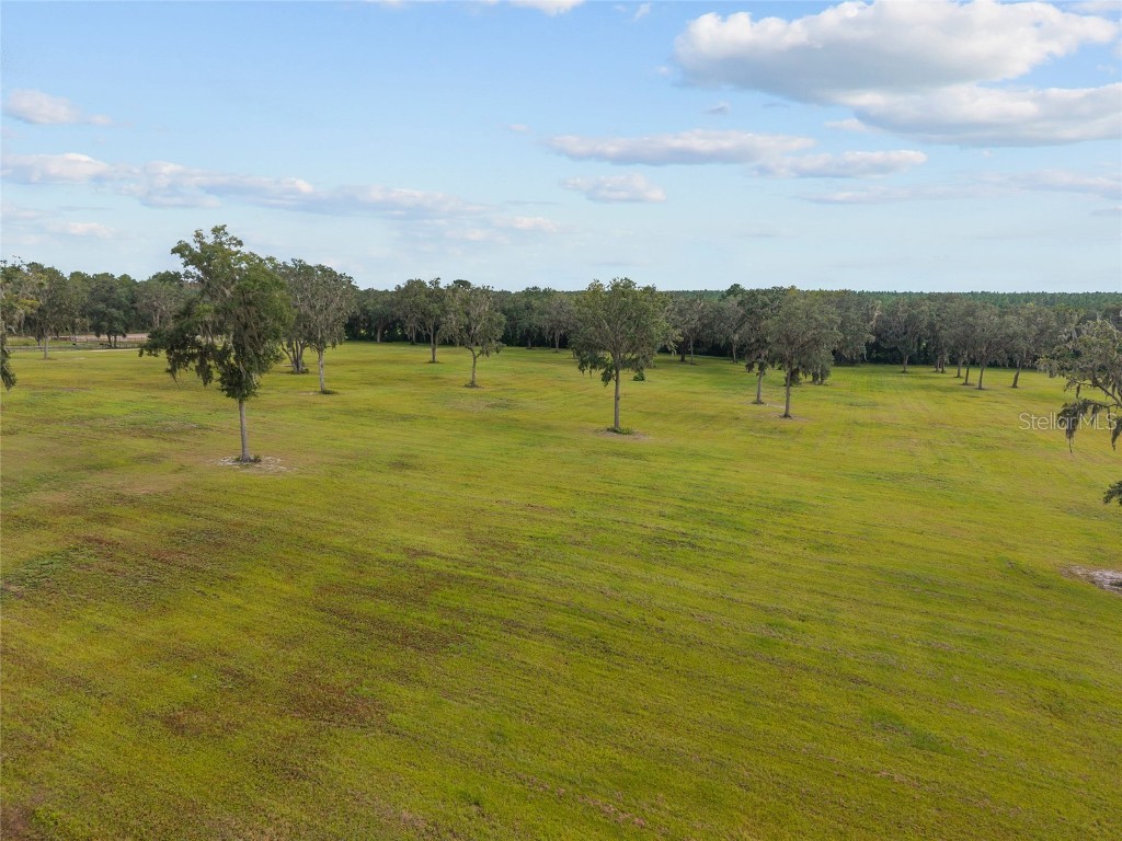 TBD W 316 Highway Reddick FL 32686 OM648080 image8