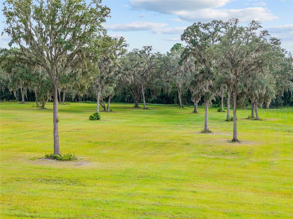 TBD W 316 Highway Reddick FL 32686 OM648080 image9