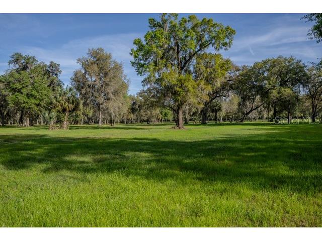 TBD W. Hwy 316 Reddick FL 32686 OM684873 image1