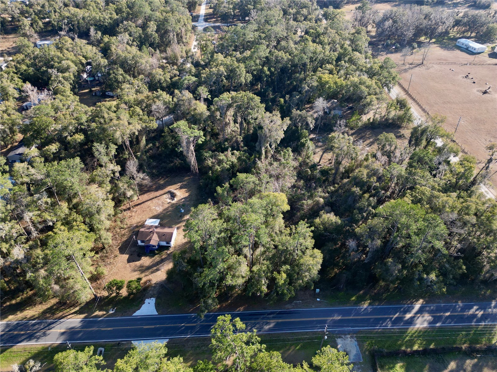 TBD W Hwy 328 Ocala FL 34482 OM718246 image11