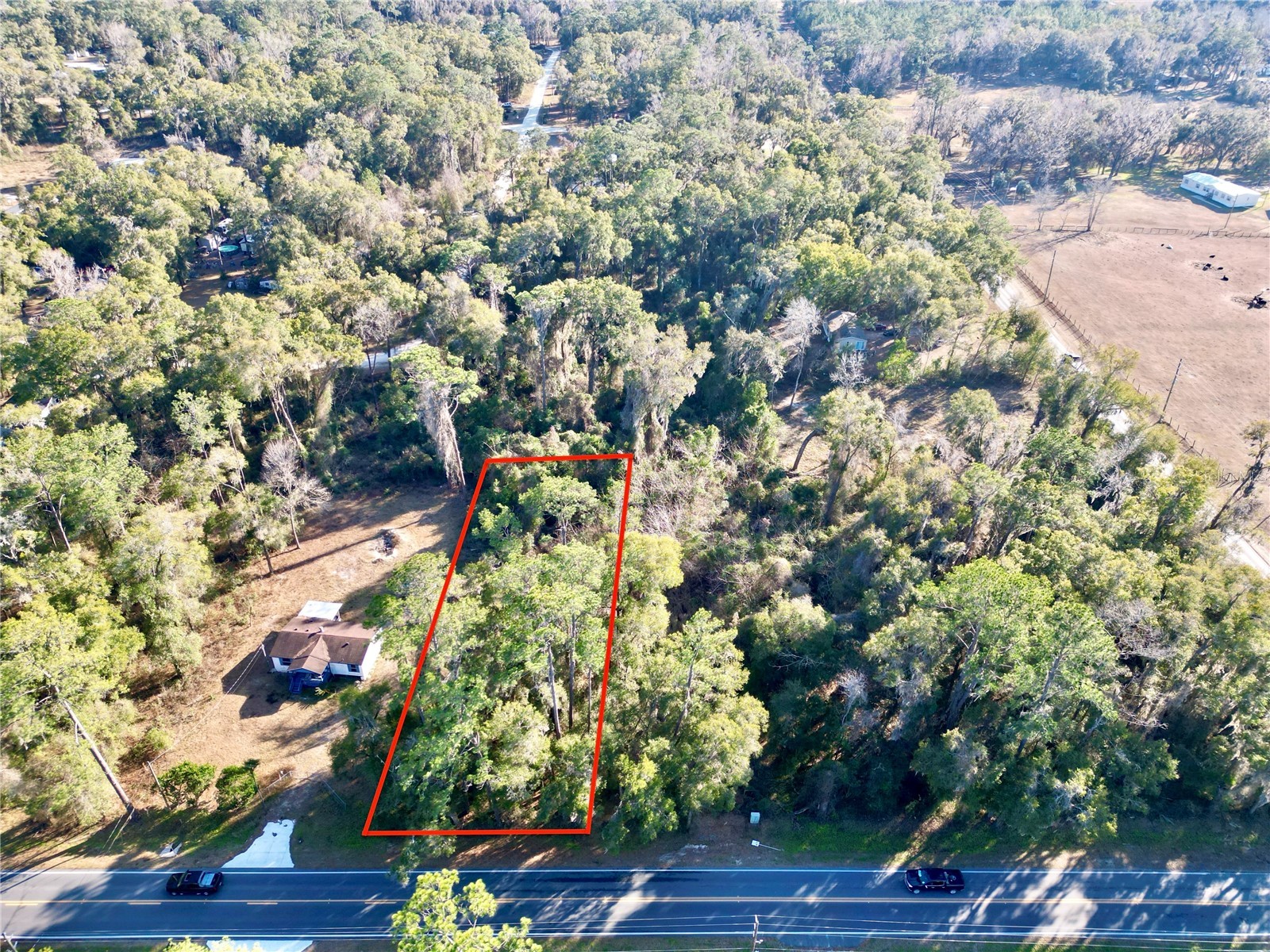 TBD W Hwy 328 Ocala FL 34482 OM718246 image12
