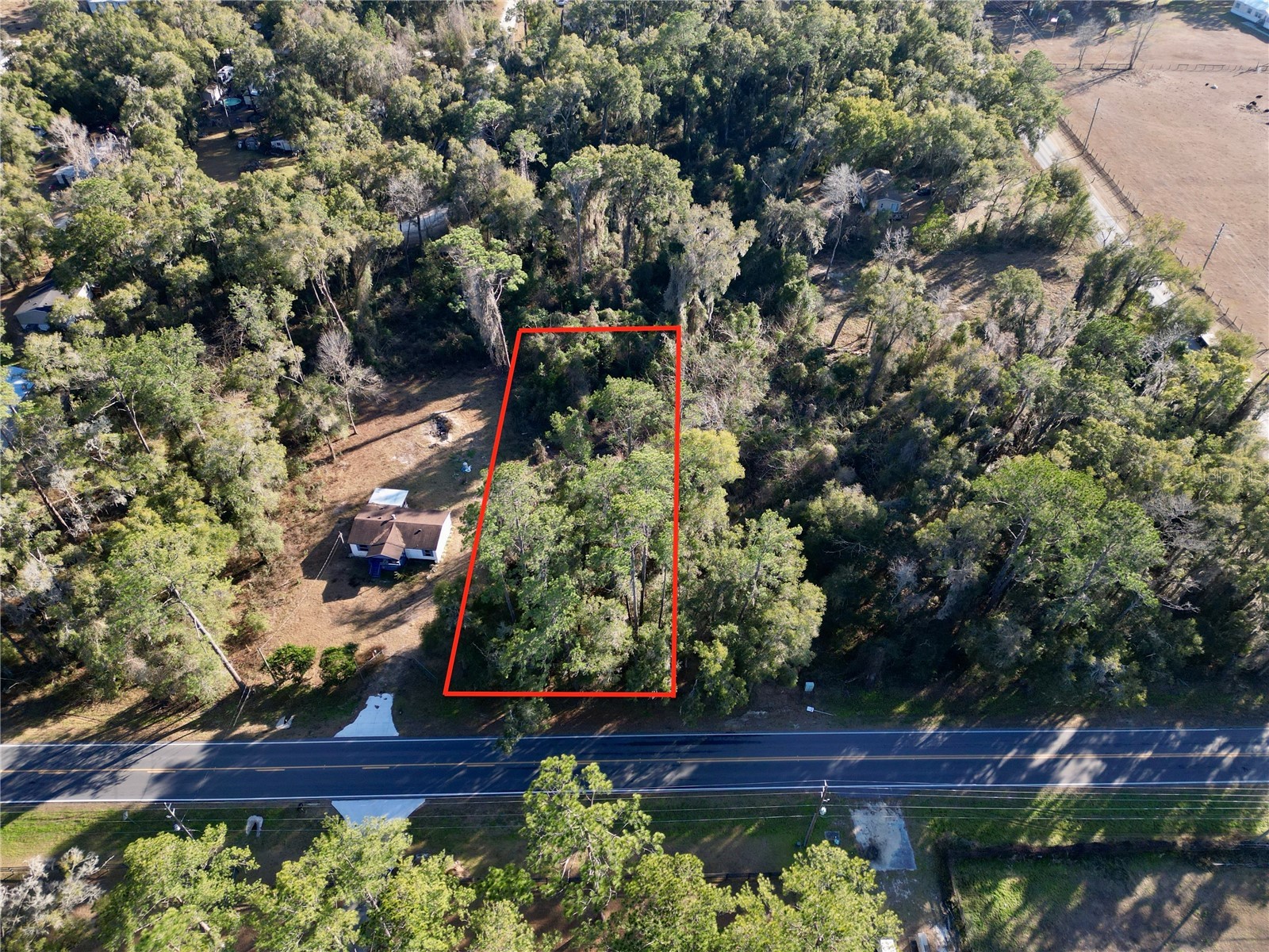 TBD W Hwy 328 Ocala FL 34482 OM718246 image3