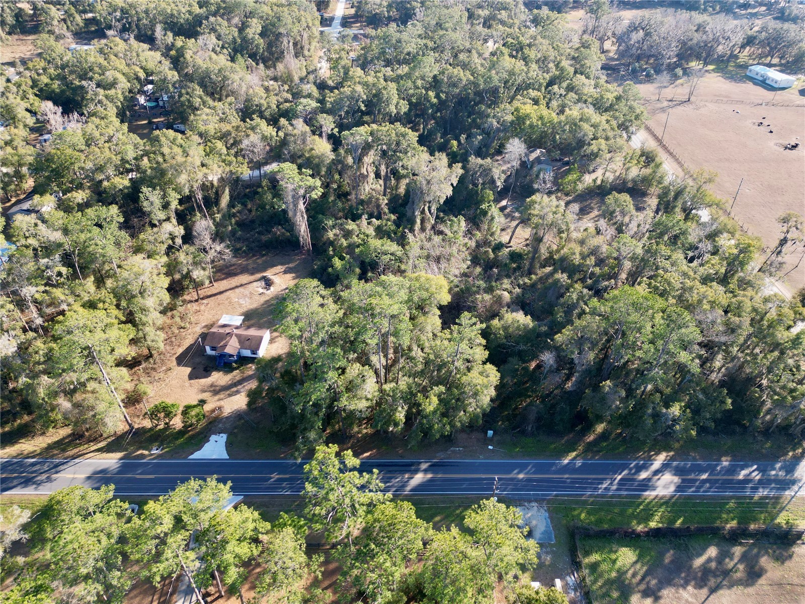 TBD W Hwy 328 Ocala FL 34482 OM718246 image7