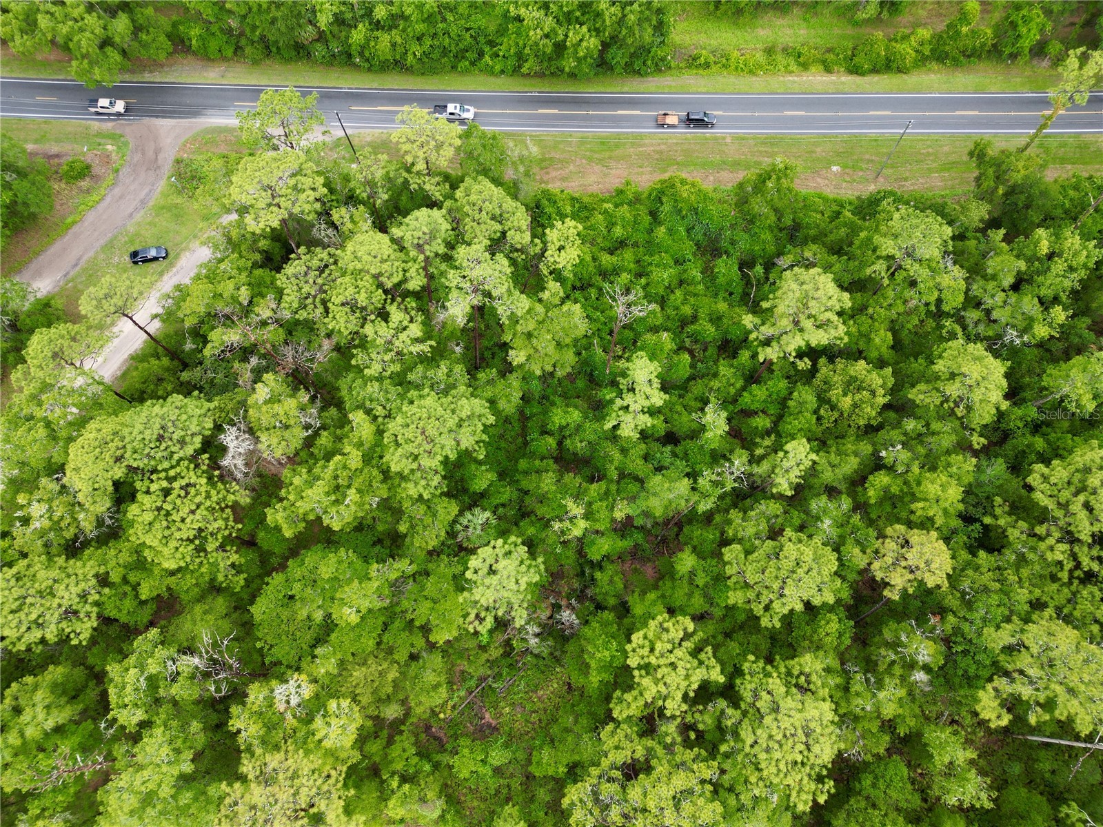 TBD W Hwy 40 Ocala FL 34481 OM726814 image5