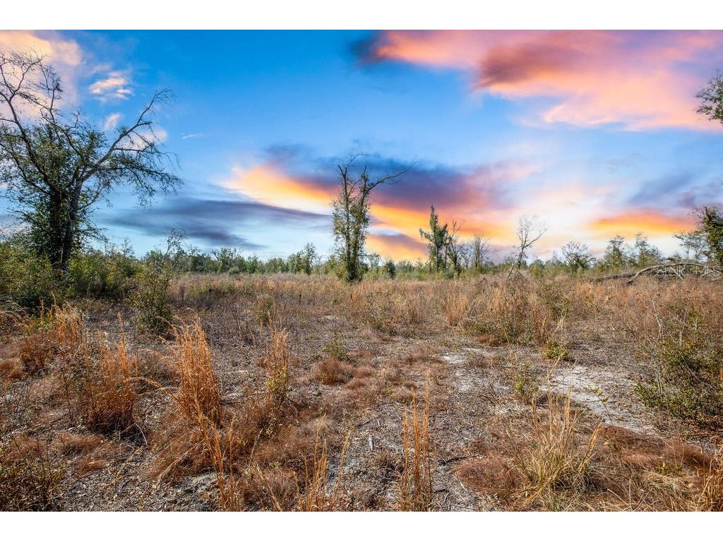 TBD Walker Place Live Oak FL 32060 GC538429 image2