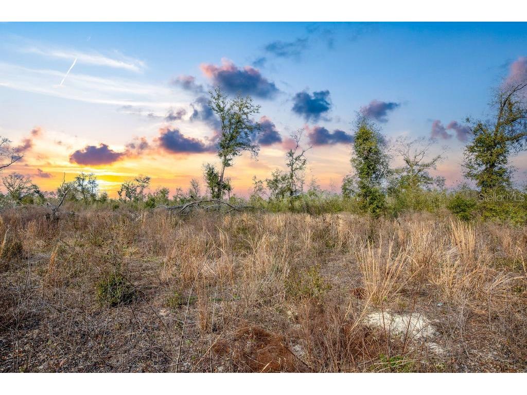 TBD Walker Place Live Oak FL 32060 GC538429 image3