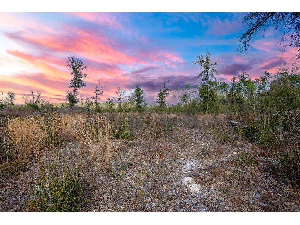 TBD Walker Place Live Oak FL 32060 GC538429 image4