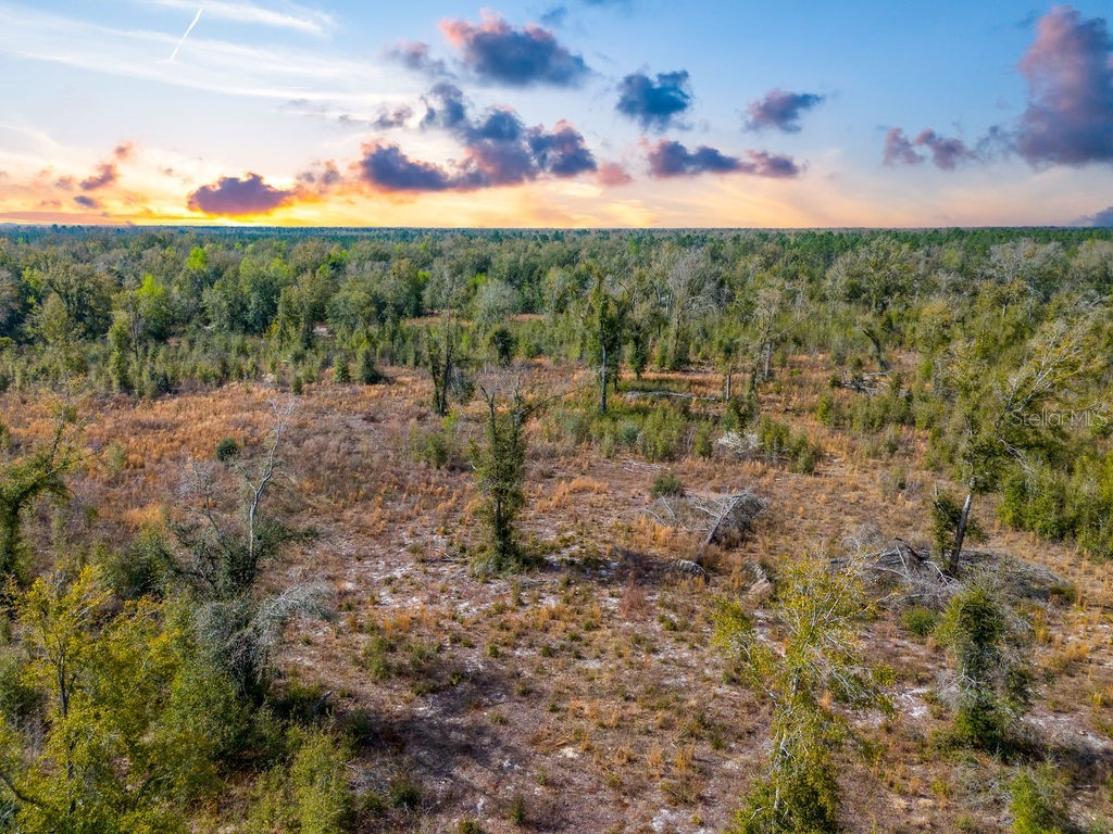 TBD Walker Place Live Oak FL 32060 GC538429 image5