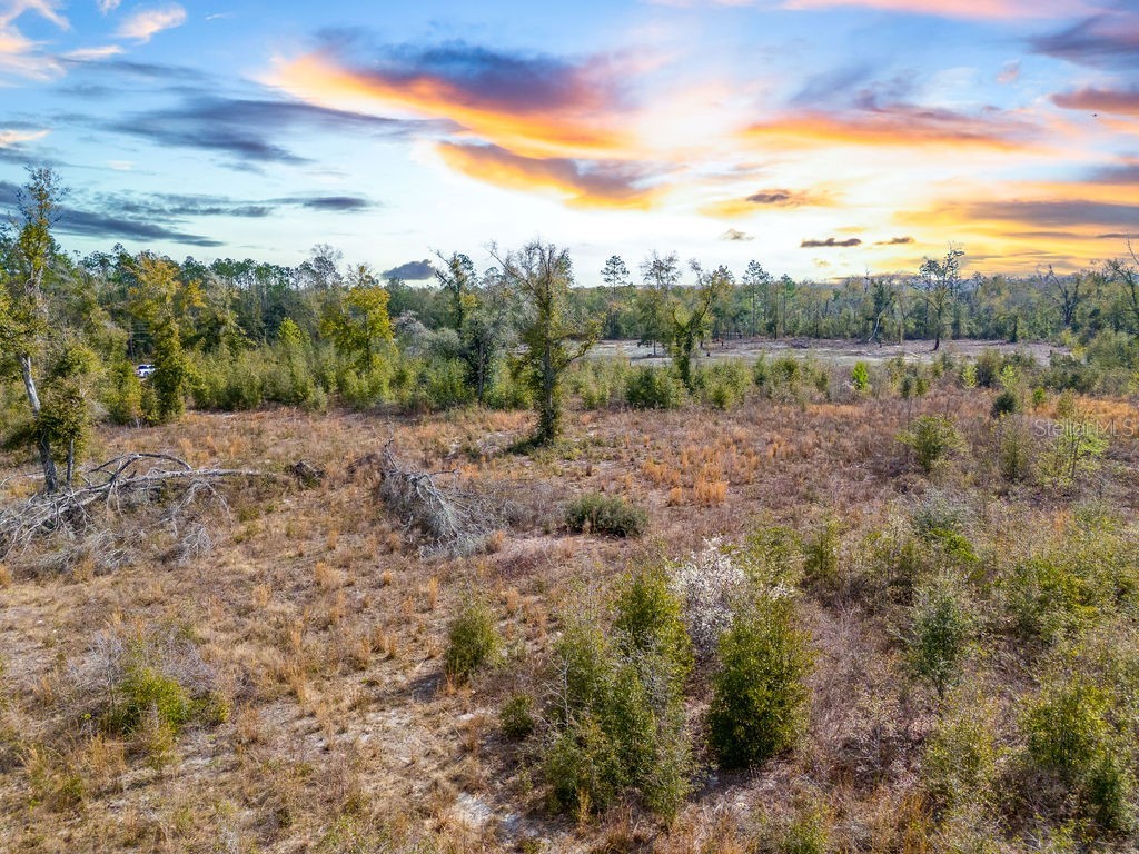 TBD Walker Place Live Oak FL 32060 GC538429 image6