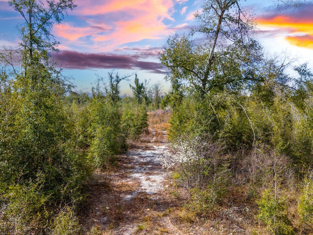 TBD Walker Place Live Oak FL 32060 GC538429 image7
