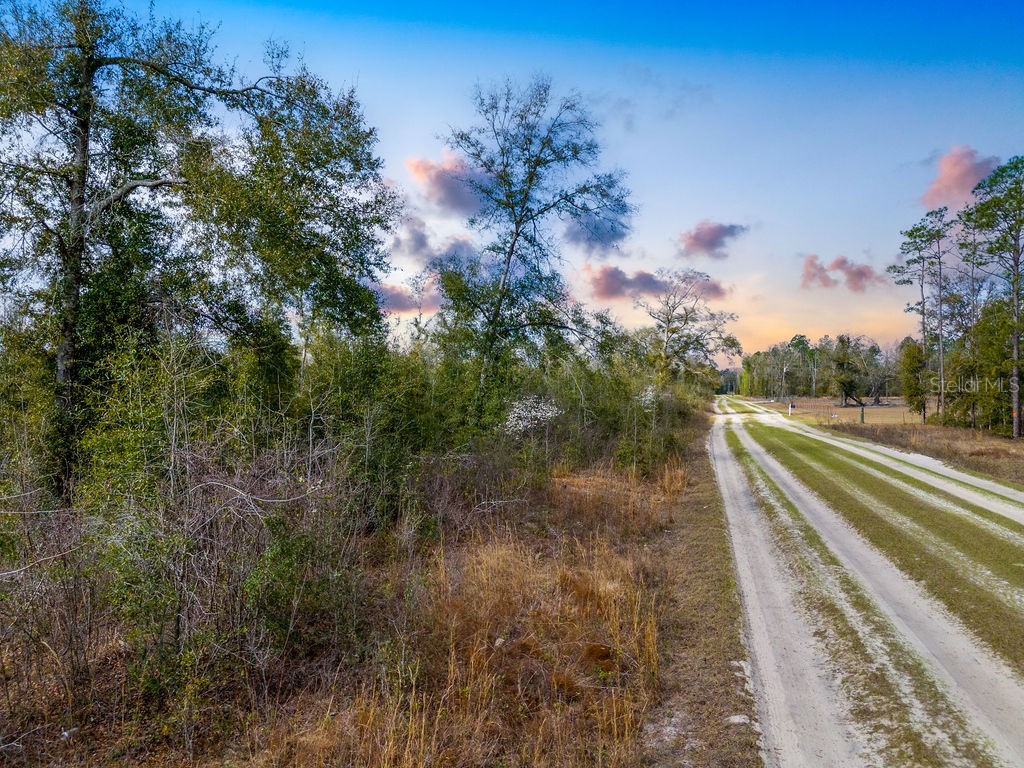 TBD Walker Place Live Oak FL 32060 GC538429 image8
