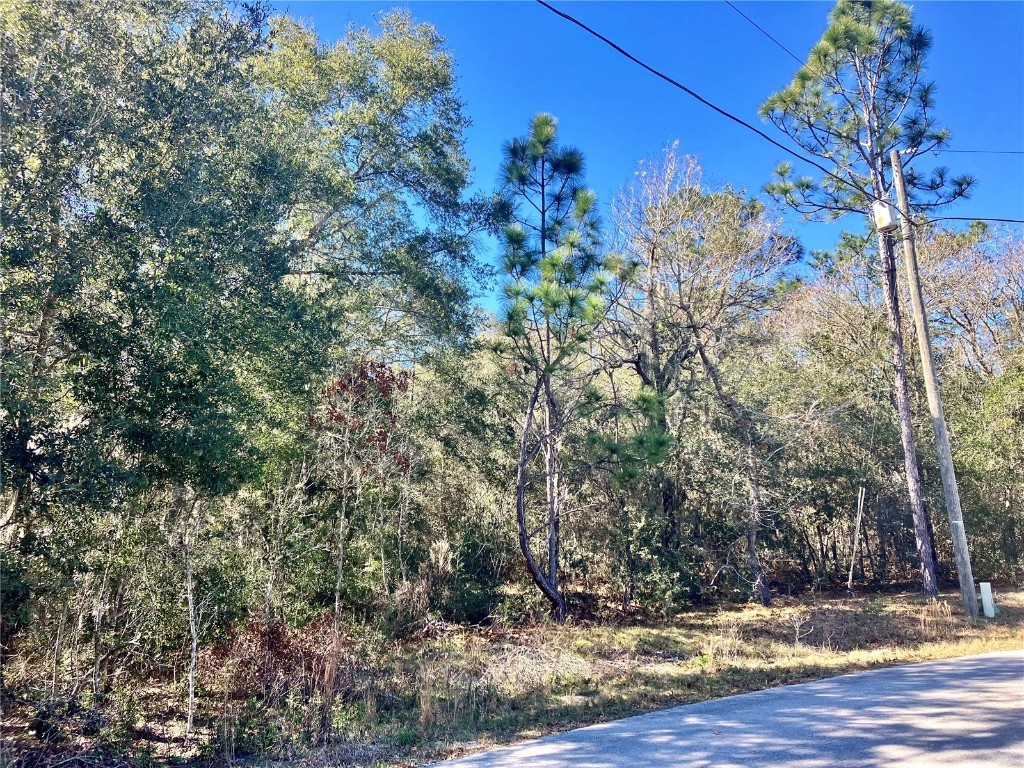 TBD Water Track Court Ocala FL 34472 OM672039 image1