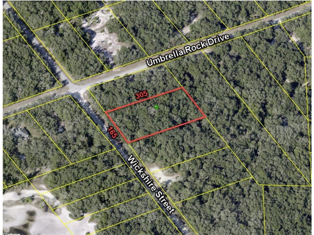 TBD Wickshire Street Webster FL 33597 O6131404 image1