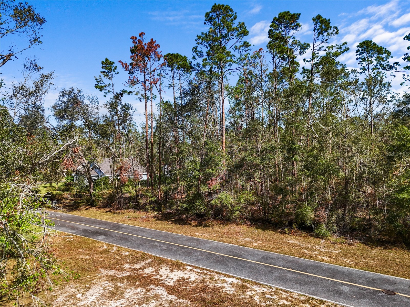 TBD Wildwood Drive Live Oak FL 32060 GC539304 image6