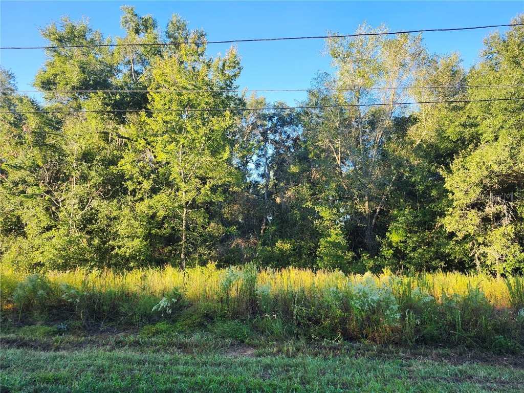 TBD Williow Road Ocala FL 34472 OM711551 image2