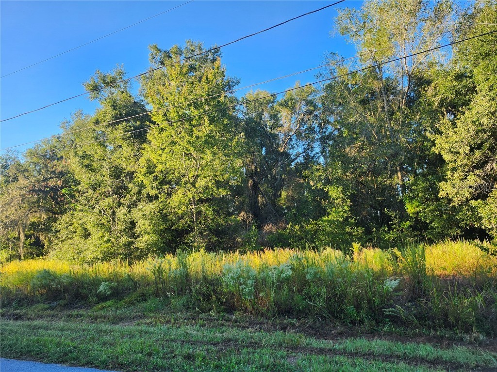 TBD Williow Road Ocala FL 34472 OM711551 image3