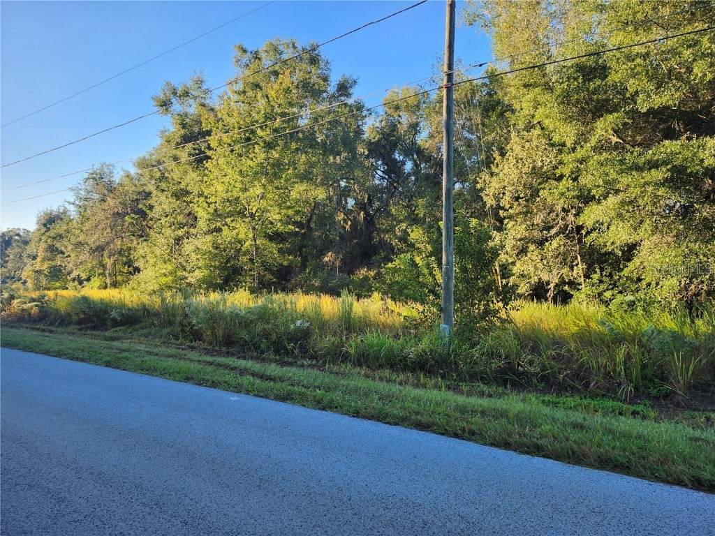 TBD Williow Road Ocala FL 34472 OM711551 image6