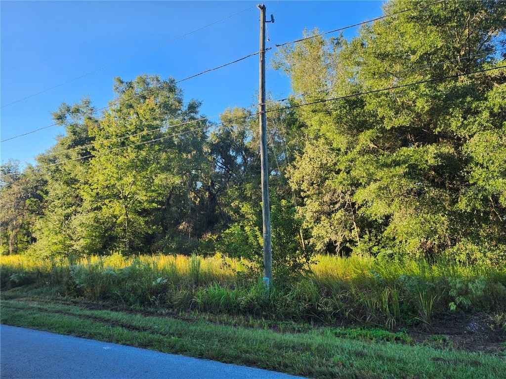TBD Williow Road Ocala FL 34472 OM711551 image7