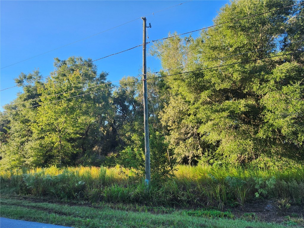 TBD Williow Road Ocala FL 34472 OM711551 image8