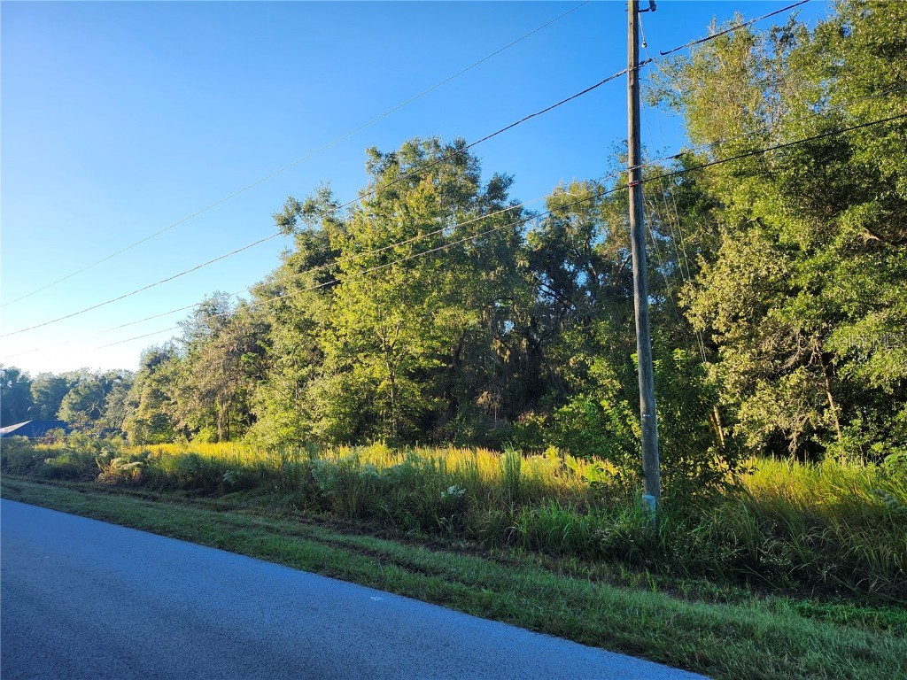 TBD Williow Road Ocala FL 34472 OM711551 image9