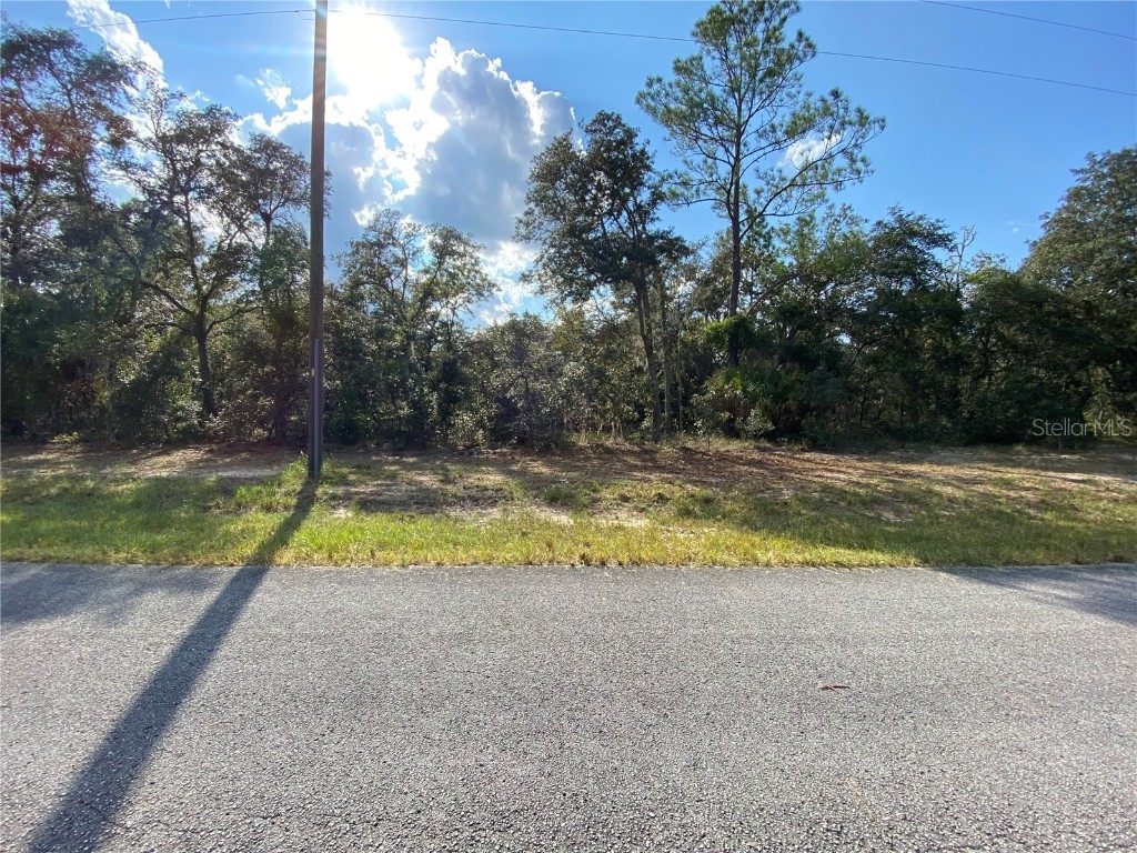 TBD Willow Road Dunnellon FL 34431 A4624424 image1