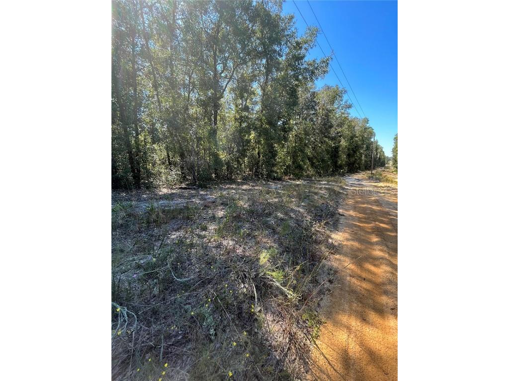 TBD Windy Hills Road Hawthorne FL 32640 OM645833 image1