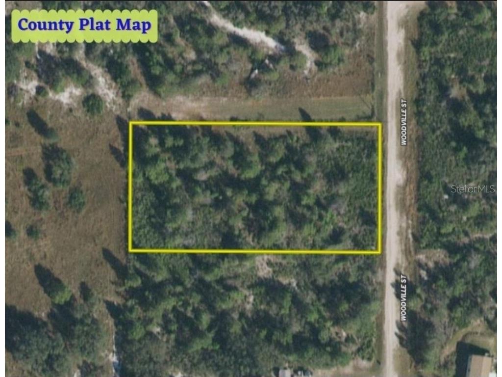 TBD Woodville Street Lake Wales FL 33859 OM655470 image1